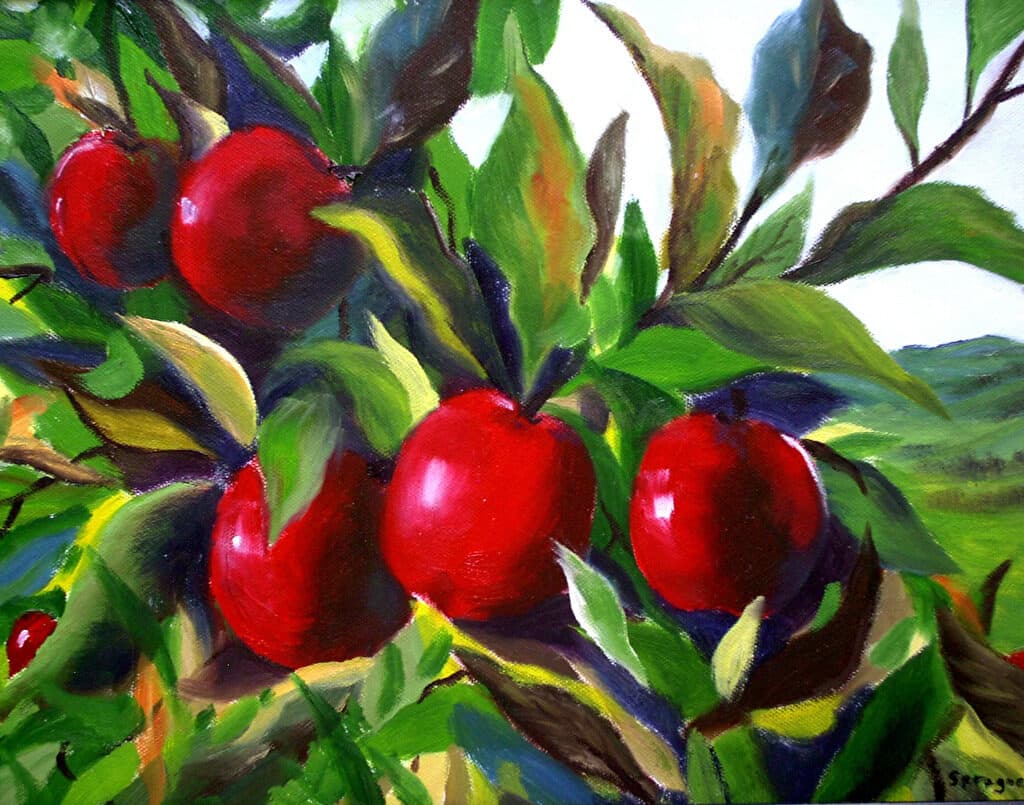 Apples — Oil painting by Judy Sprague