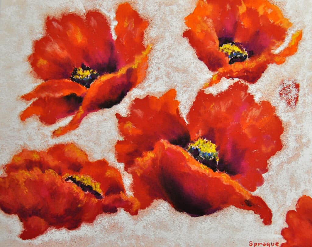 Poppy Garden — Pastel painting by Judy Sprague